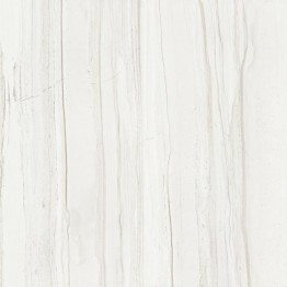 Gạch lát sàn Trường Thịnh TT66041